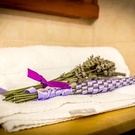 Farm stay Podere Casalino